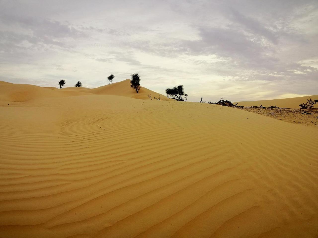 Queen Desert Camp Fulayj al Masha'ikh Eksteriør bilde